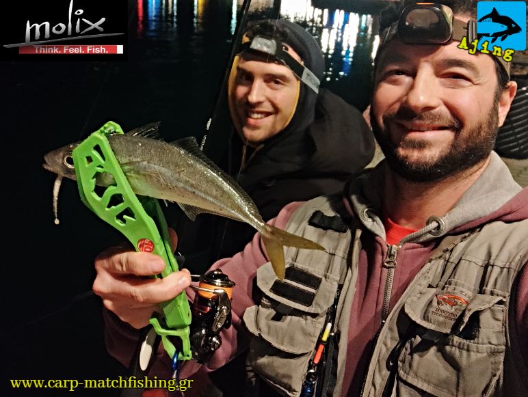 ajing kokkali lrf light game carpmatchfishing
