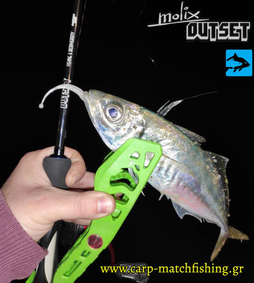 kokkali molix outset 732s carpmatchfishing