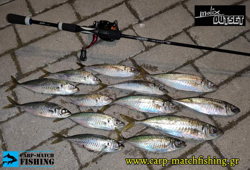 outset molix light game ajing kokkalia carpmatchfishing
