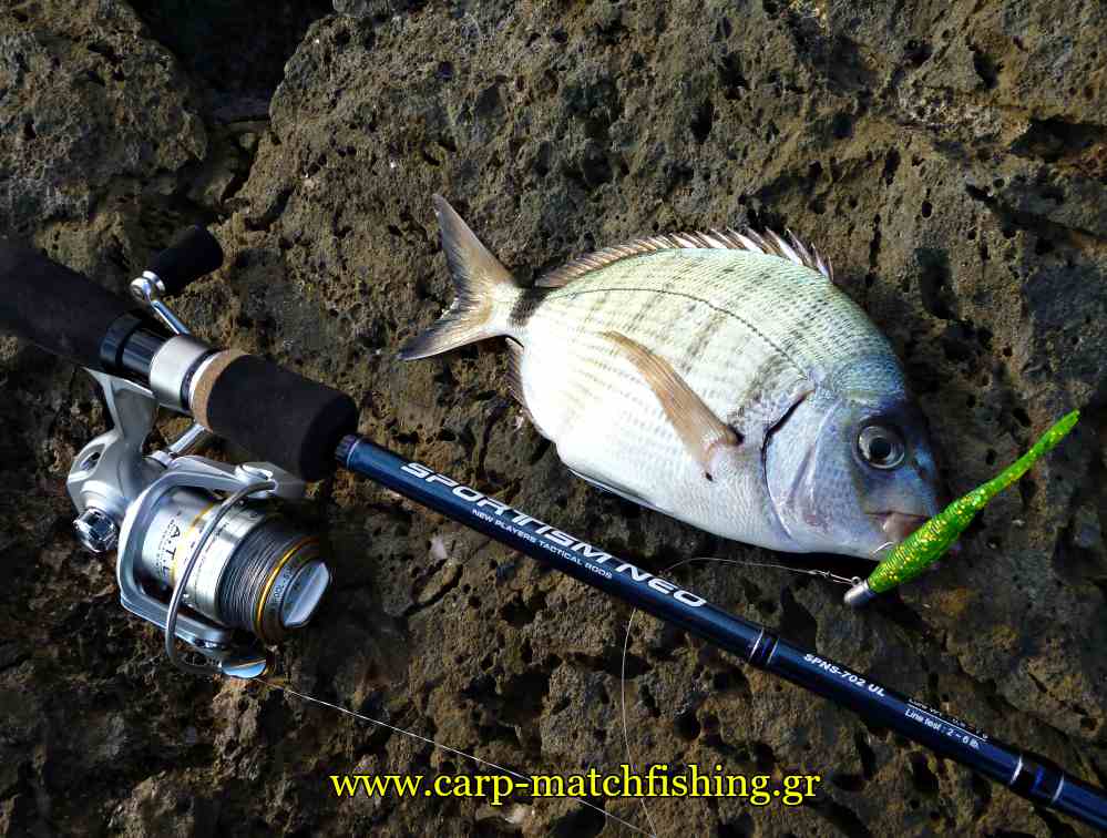 sakura-sargos-lrf-equipment-all-carpmatchfishing