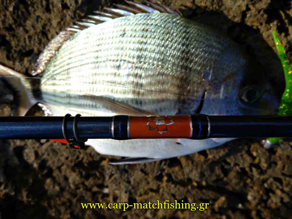 sargos-sakura-blank-lrf-rod-sportism-neo-carpmatchfishing