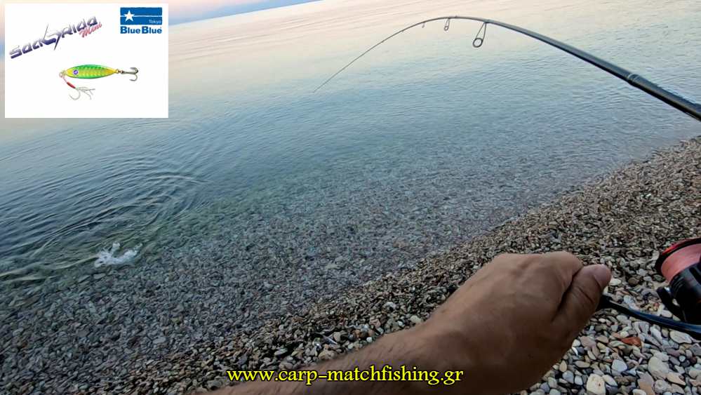 blue blue searide mini rod curve jig carpmatchfishing