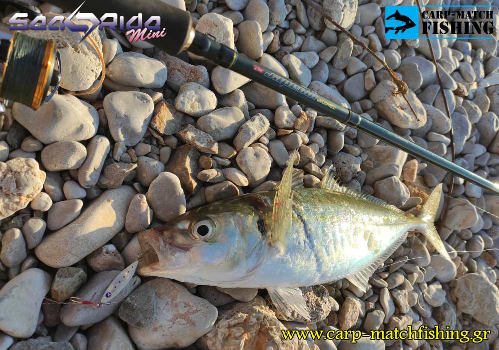 kokkali searide mini 2 blue blue carpmatchfishing