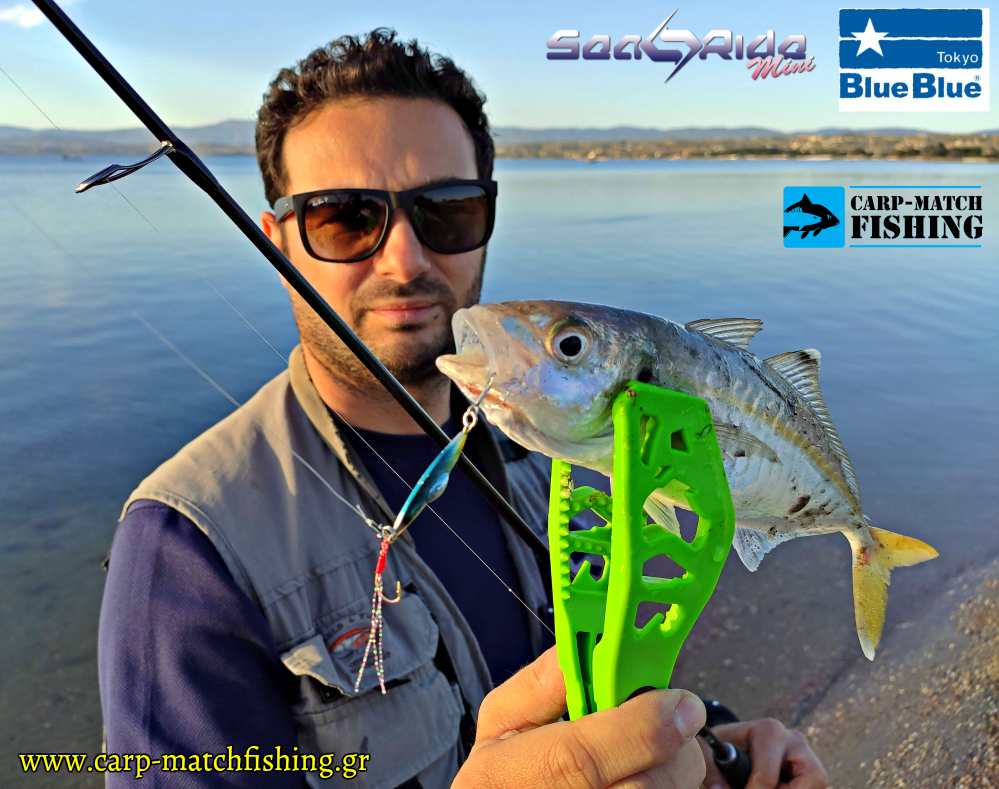 kokkali searide mini blue blue carpmatchfishing