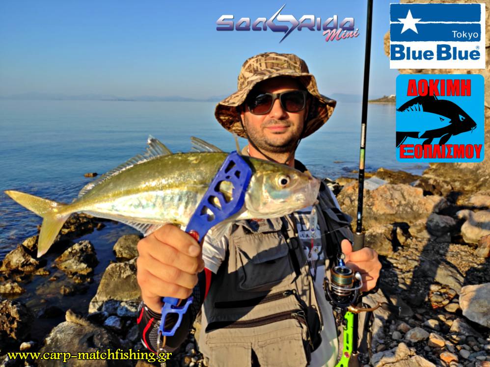 planaki blue blue mini searide carpmatchfishing