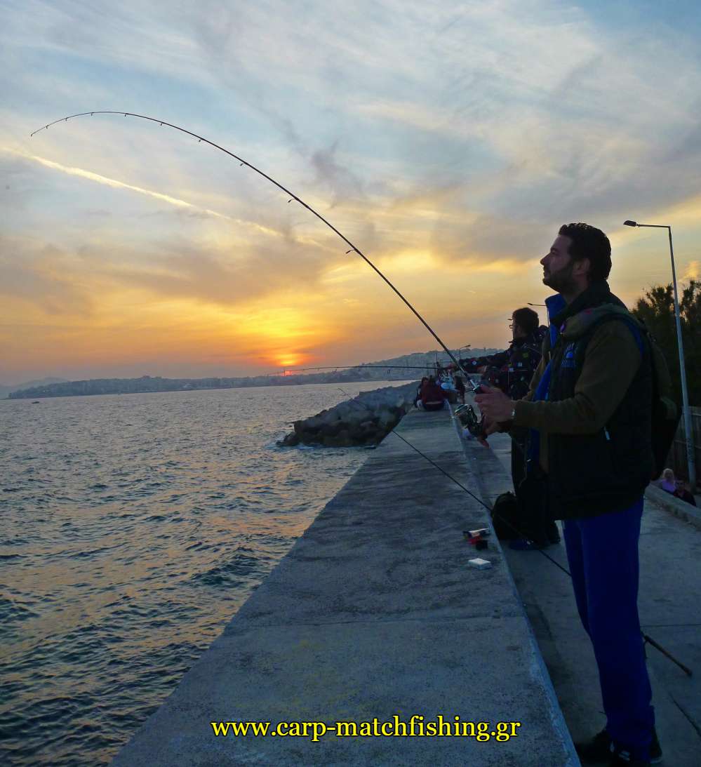 sonik-lrf-rockchamp-curve-carpmatchfishing