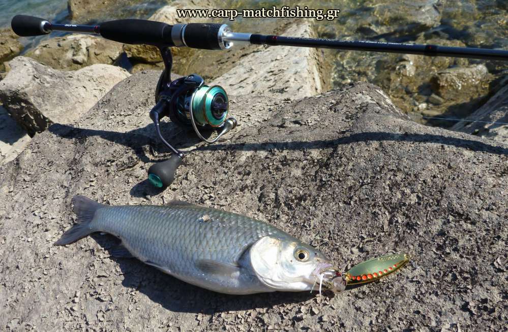 sonik-lrf-rockchamp-spinning-carpmatchfishing
