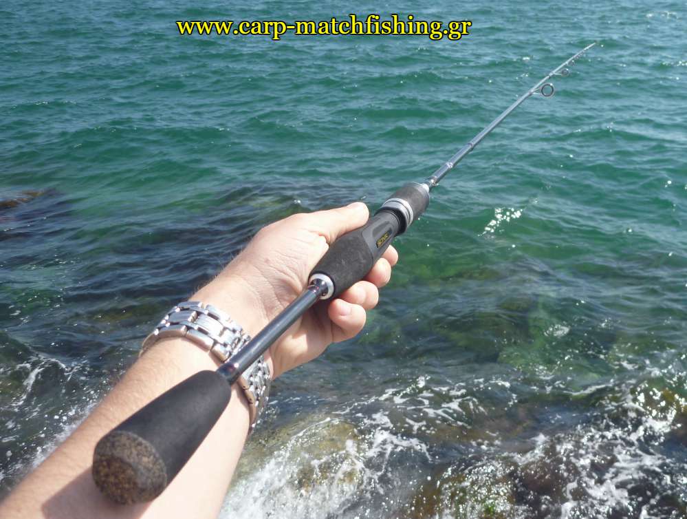sonik-lrf-rodsea-carpmatchfishing
