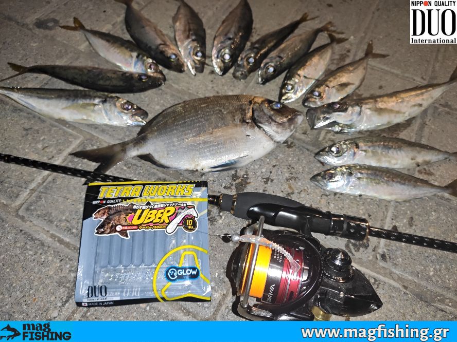 duo tetra works uber safridia sargos lrf magfishing.gr