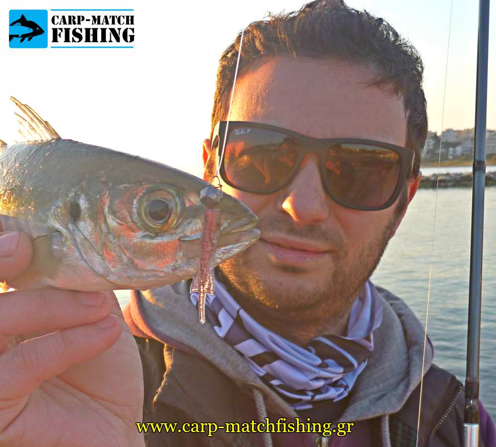 kokkali xesta dart star worm silikoni lrf carpmatchfishing