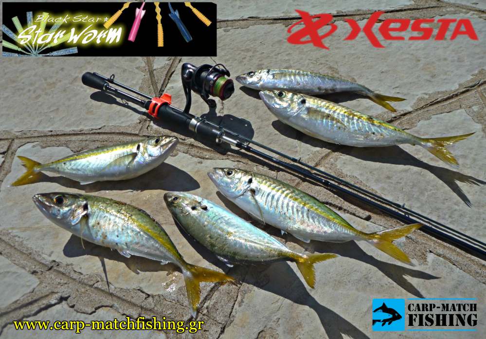 kokkalia lrf me silikones xesta star worms carpmatchfishing