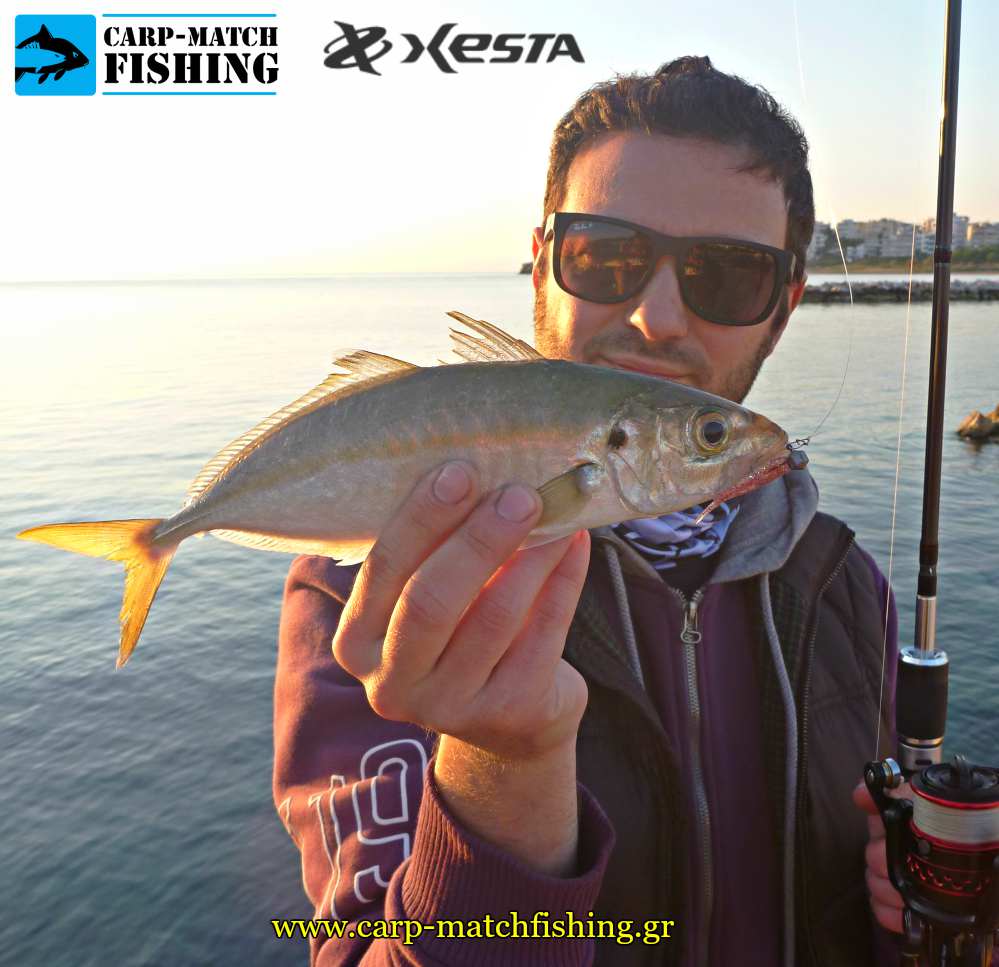 psarema kokkaliou me silikoni xesta dart worm lrf carpmatchfishing