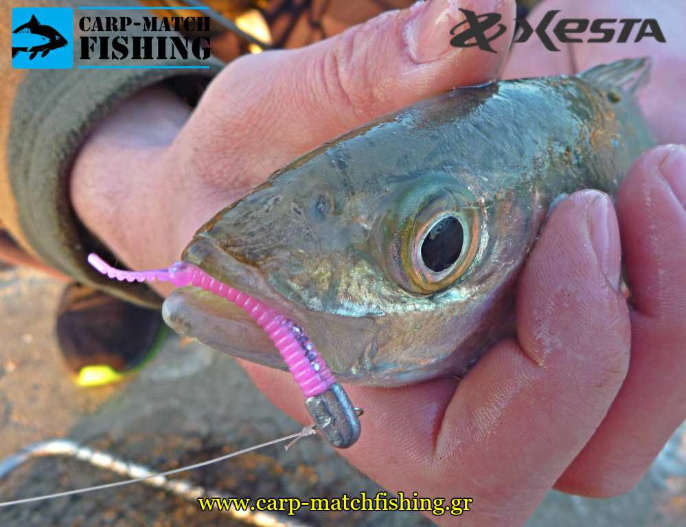 sililkoni xesta stick worm psarema kokkaliou lrf carpmatchfishing