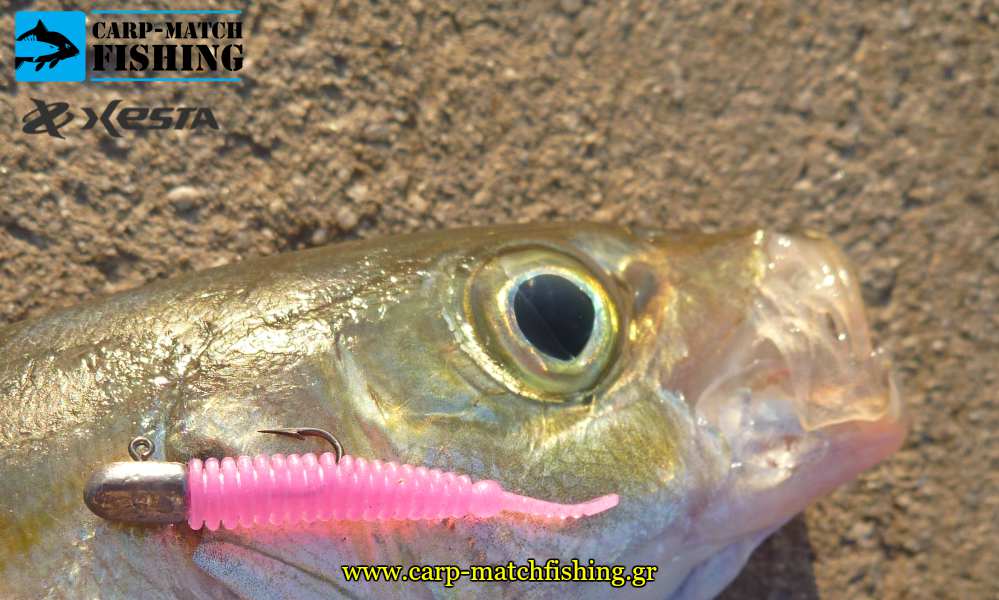 xesta stick star worms silikoni kokkali light rock fishing carpmatchfishing