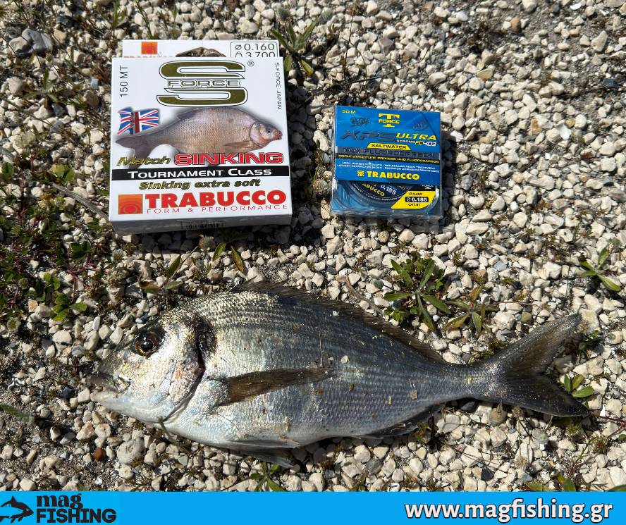 petonies trabucco s force sinking line xps ultra strong fluorocarbon magfishing.gr