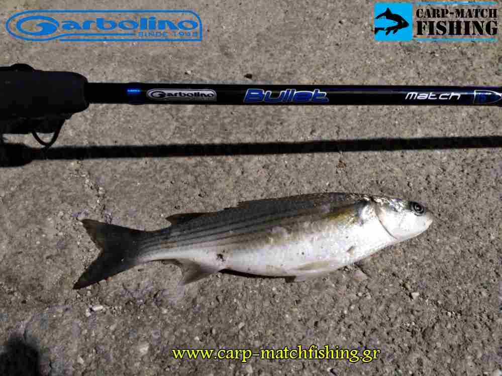 bullet match mullet garbolino dokimi match carpmatchfishing