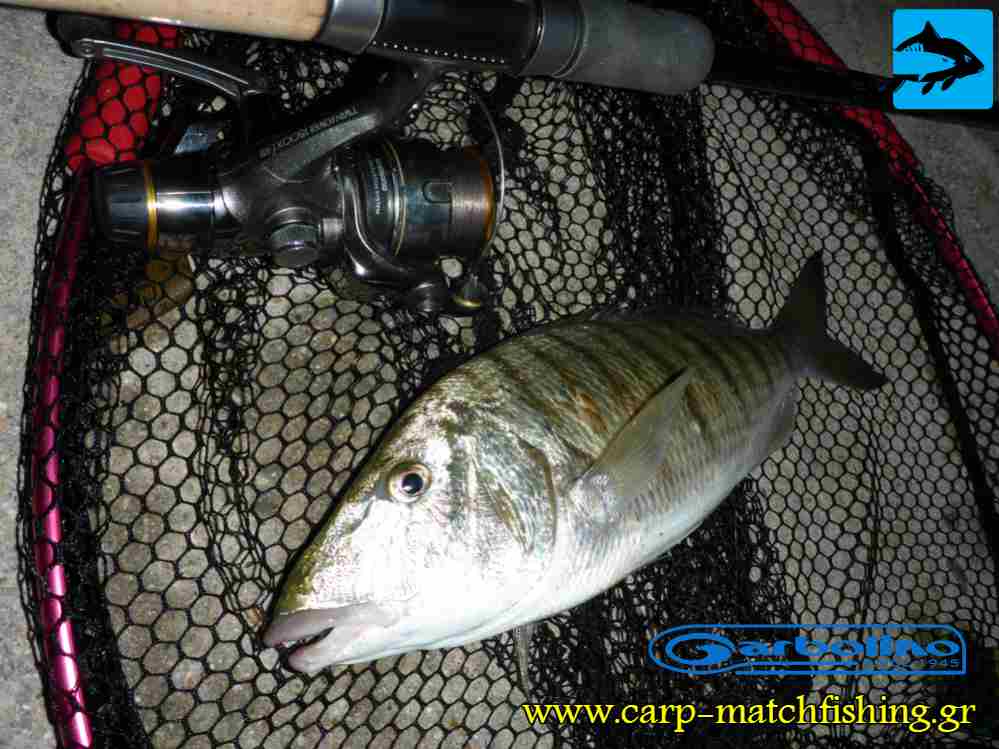 mourmoura matchfishing carpmatchfishing