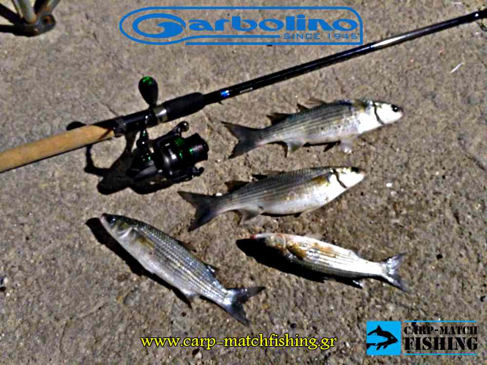 mullets bullet match rod garbolino carpmatchfishing