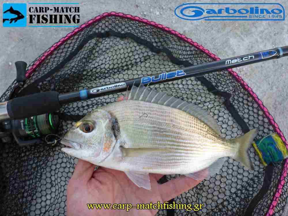 tsipoura bullet garbolino rod carpmatchfishing