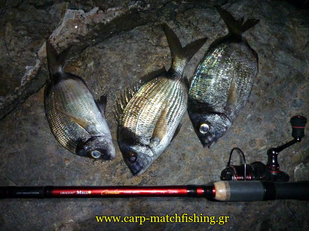 dragon-power-match-combat-3-sargoi-carpmatchfishing
