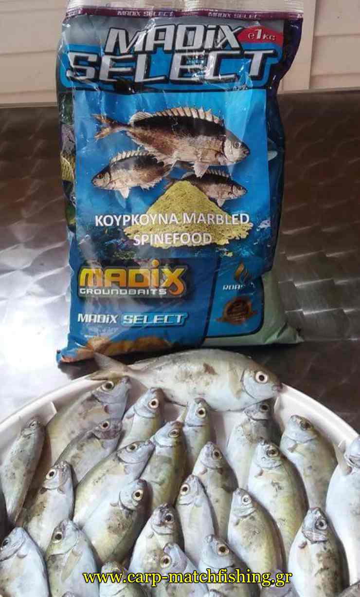 kourkounes madix carpmatchfishing