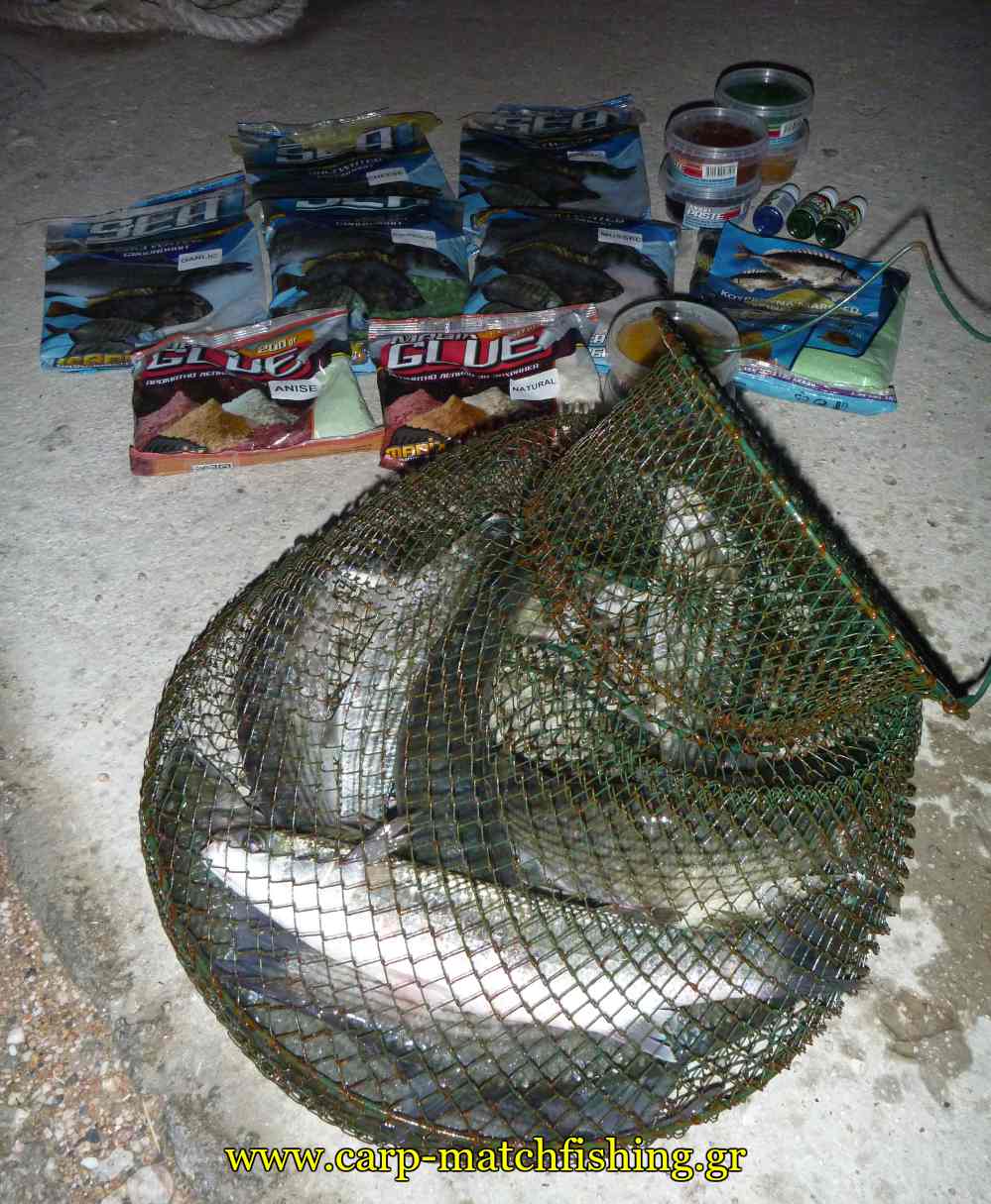 madix malagres kefaloi kiourtos carpmatchfishing