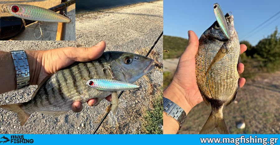 Dostum mourmoura aulias texnito psaria texnito magfishing.gr 1