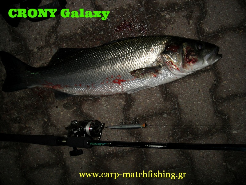 lavraki-carp-matchfishing.gr
