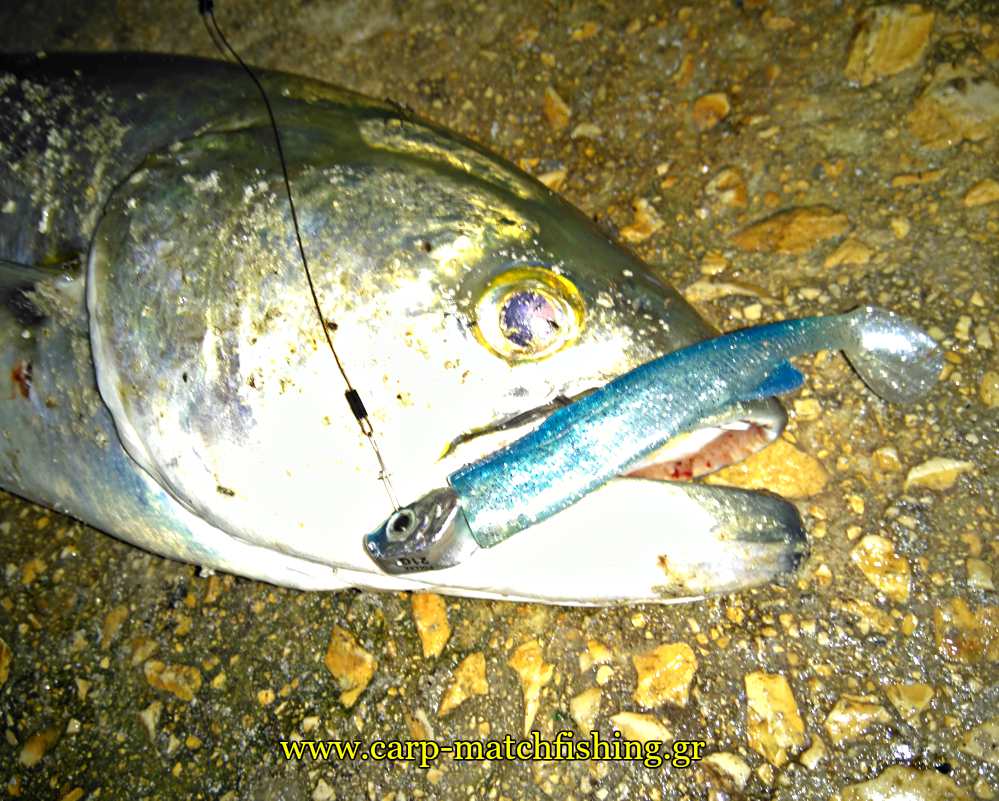 gofari-me-silikones-carpmatchfishing