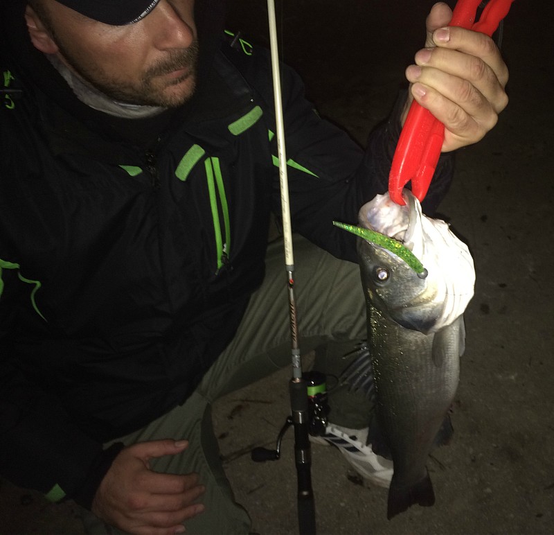 lavraki-aris-spinning-xlayer-carpmatchfishing.jpg