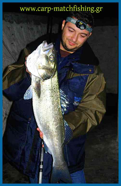 www.carp-matchfishing.gr. Tα πάντα γιατο ψάρεμα σε θάλασσα και στα γλυκά νερά, τεχνικές matchfishing, bolognese, carpfishing, spinning, casting, eging